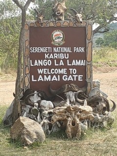 Serengeti National Park Sign 