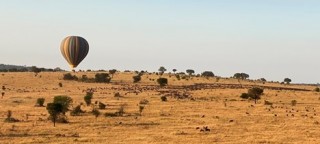 balloon floating over wildebeest 